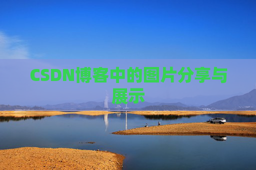 CSDN博客中的图片分享与展示